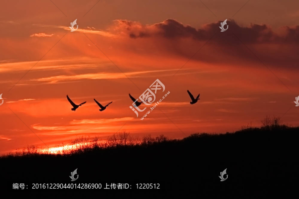 日落出發(fā)