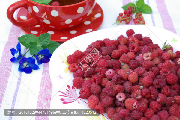 茶黨