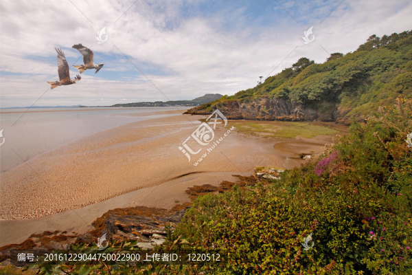 河口在Portmeirion