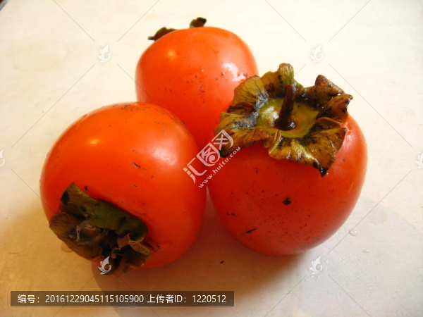 三美麗的熟柿子躺