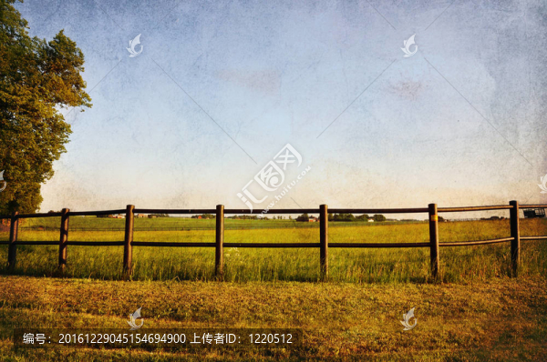 籬笆和場
