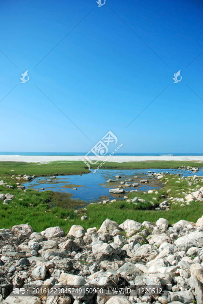 后面的海海