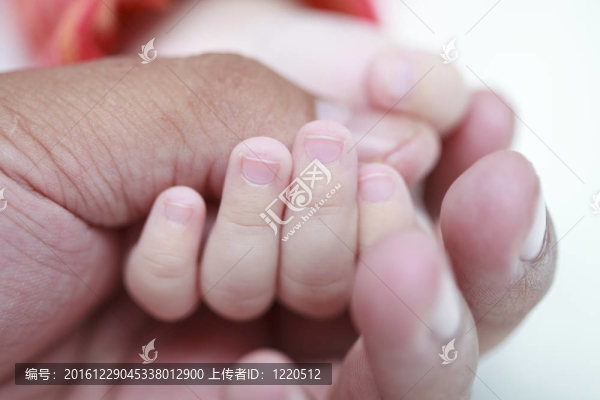爸爸手指的保護和安全的嬰兒的手