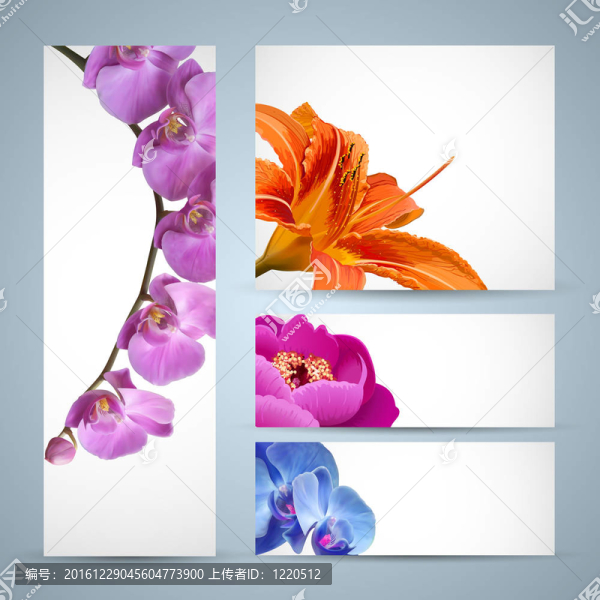 花卉；蘭花；百合牡丹花