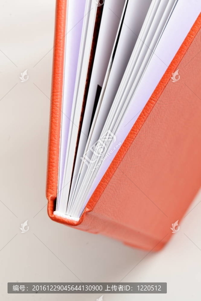 橙皮書