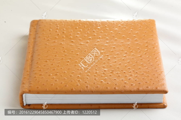 橙皮書