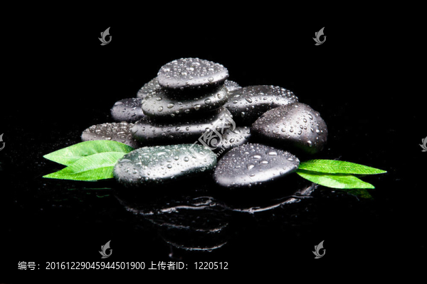 帶葉子的黑石頭。按摩石