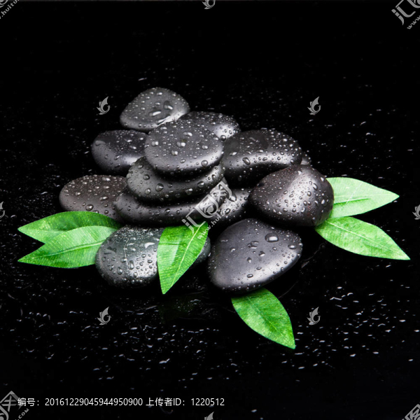 禪石與樹葉水滴。葉和玄武巖