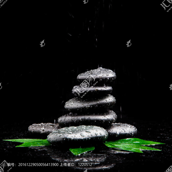 禪石與樹葉水滴。葉和玄武巖