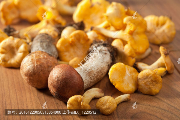 新鮮蘑菇