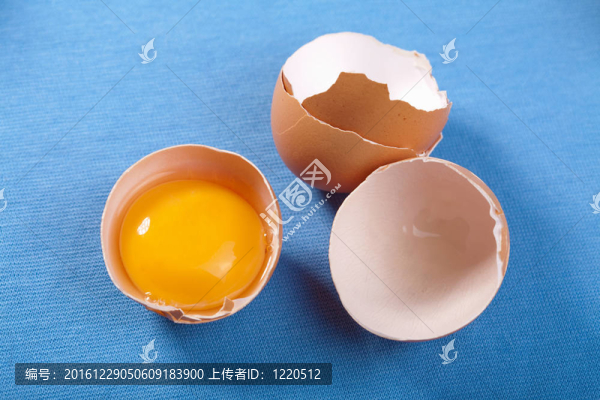 雞蛋在藍