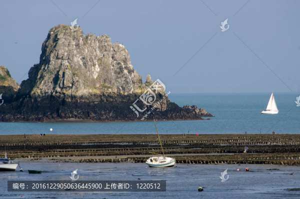海上牡蠣養(yǎng)殖場