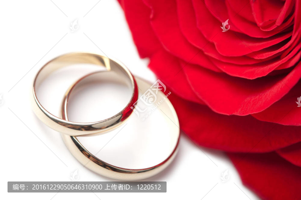 結(jié)婚戒指和紅玫瑰