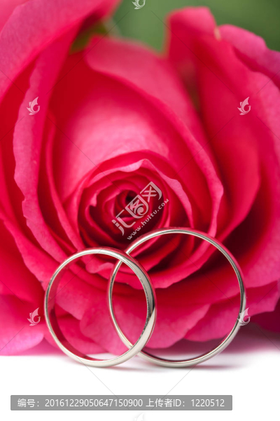 結(jié)婚戒指和粉紅玫瑰