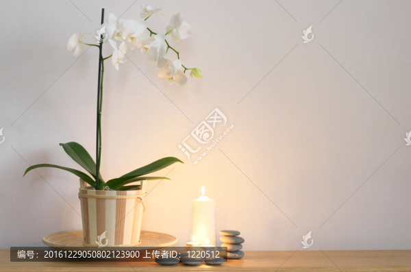 靜物蘭花