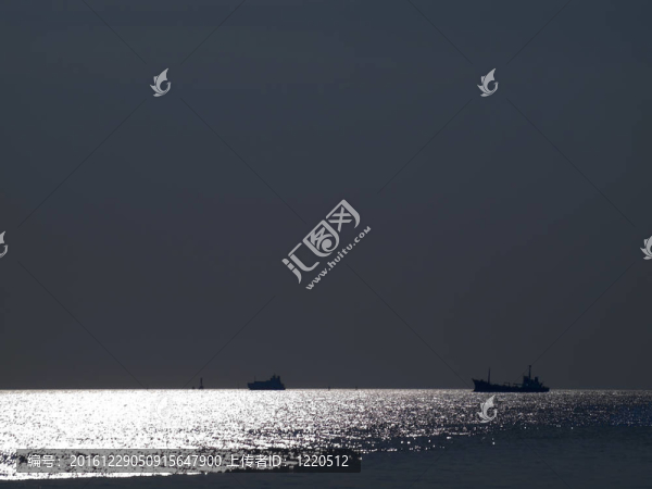 摘要海光