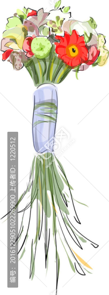 長莖布凱。