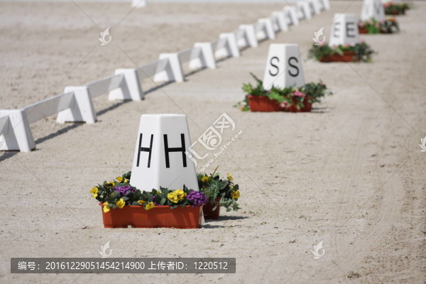 馬盛裝舞步環(huán)