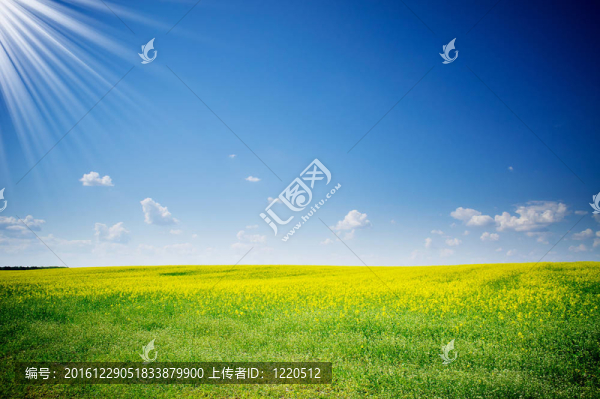 好rapefield和Cloudscape。