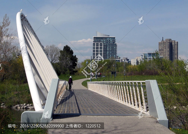 多倫多湖橋在亨伯灣公園2008