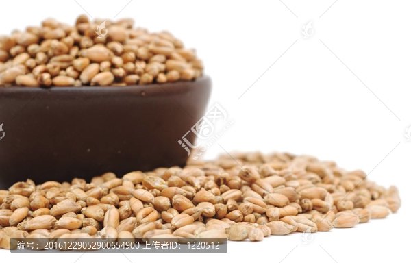 白底小麥碗