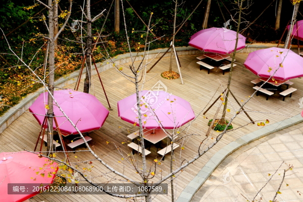 銀杏廣場(chǎng)