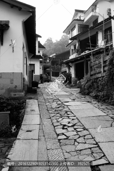 鄉(xiāng)間小路