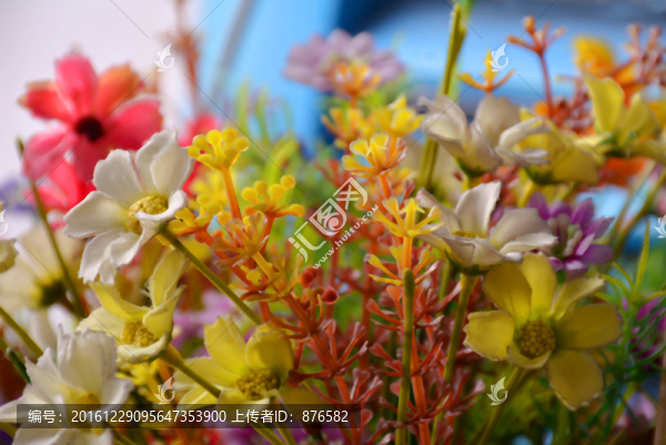 五顏六色的花叢