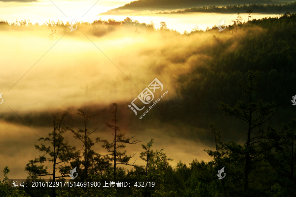 云海山巒森林