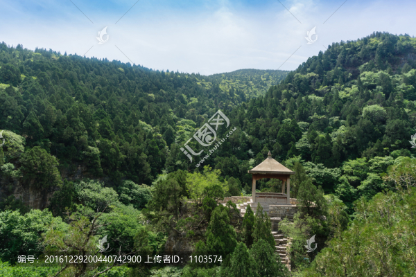 藏龍澗