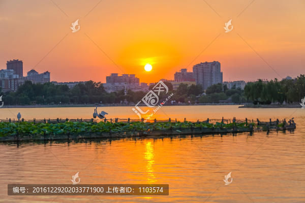 大明湖日落