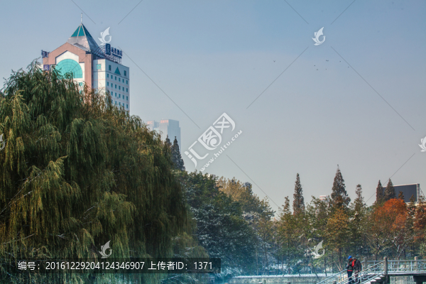 冬景,雪景,合肥風光