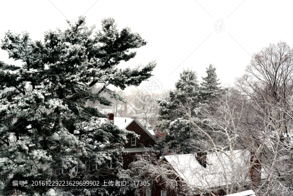 雪中城