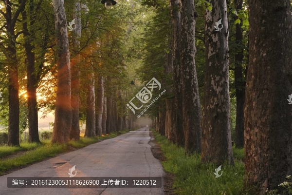 美麗的小巷日出