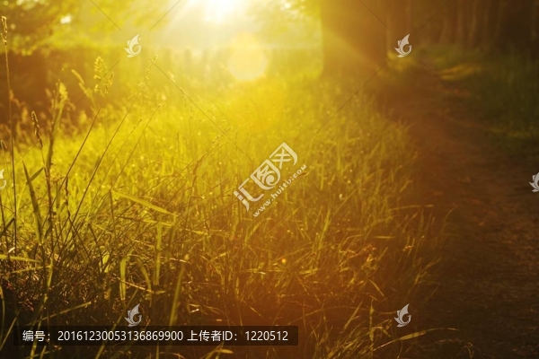 美麗的小巷日出