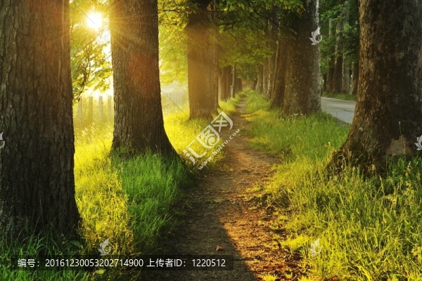 美麗的小巷日出