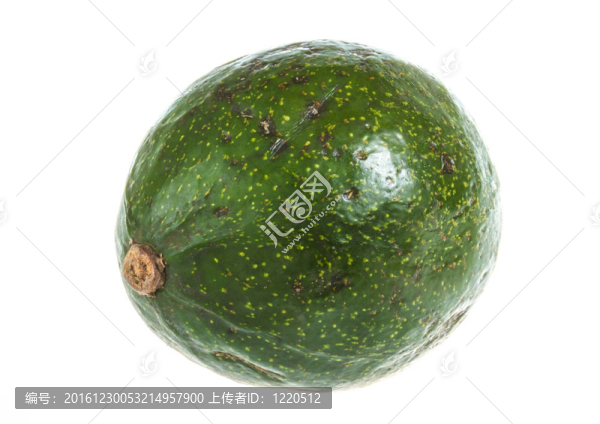 白色的鱷梨