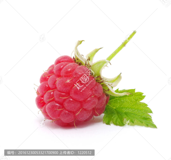 覆盆子