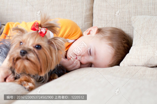 小男孩睡覺擁抱愛狗約克