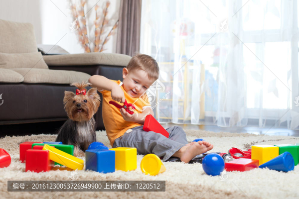孩子玩積木在家里。寵物狗坐在NEA