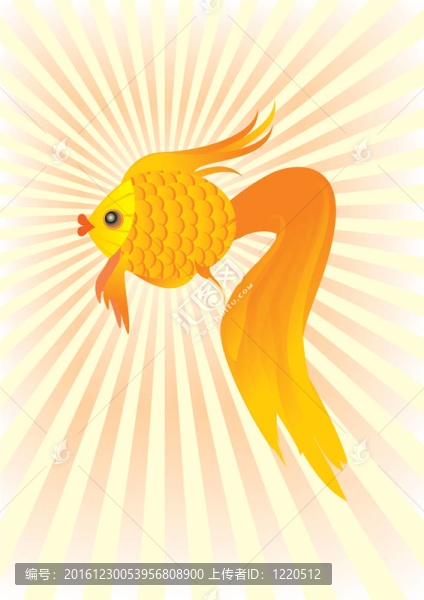 金魚的卡通
