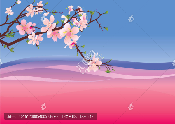 櫻花粉紅紫羅蘭背景