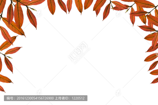 綠葉背景；文字空間