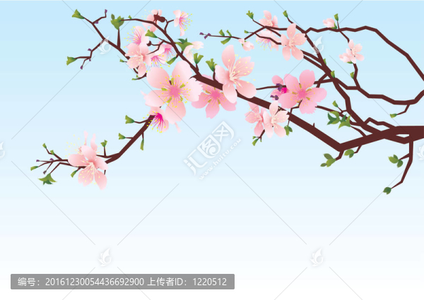 春天的櫻花早午餐-匯圖網(wǎng) www.fosd68.com 春天的櫻花早午餐