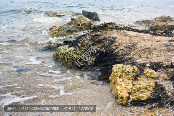 海岸上的石頭