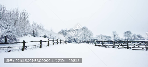 通過與冬天的雪英語農(nóng)村鄉(xiāng)間小路