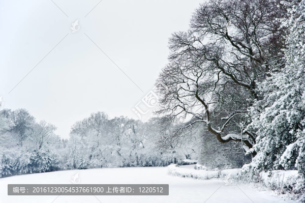 農(nóng)村田園冬季雪景