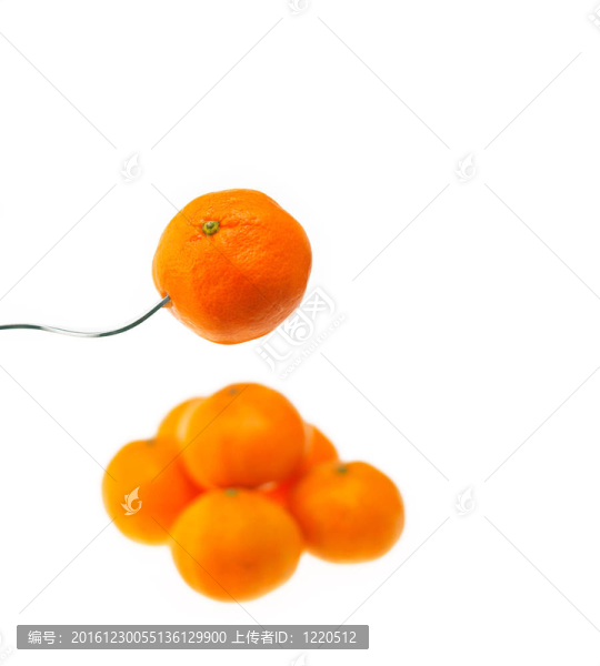 在交出白橙普通話Tangerine夜店