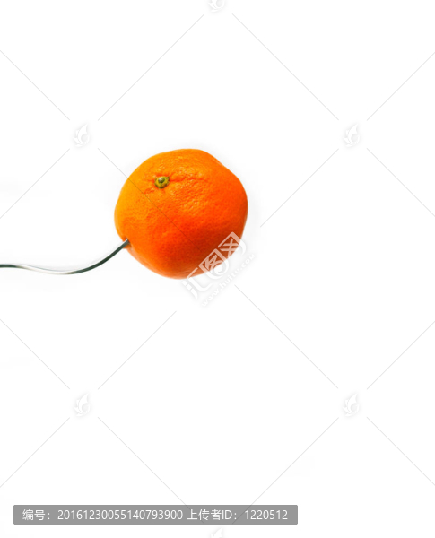 在交出白橙普通話Tangerine夜店