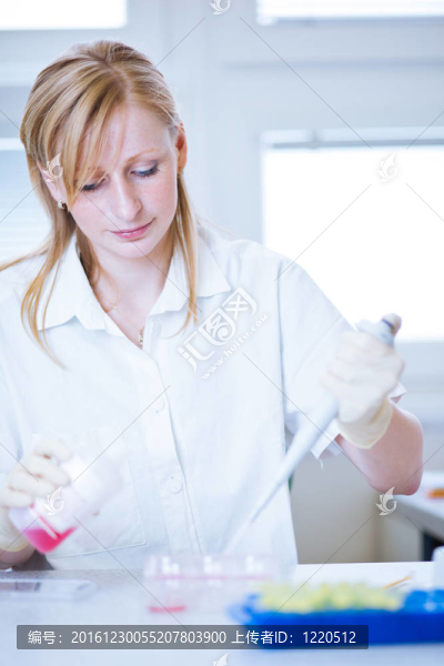 一位女研究員在實(shí)驗(yàn)室做研究的畫像